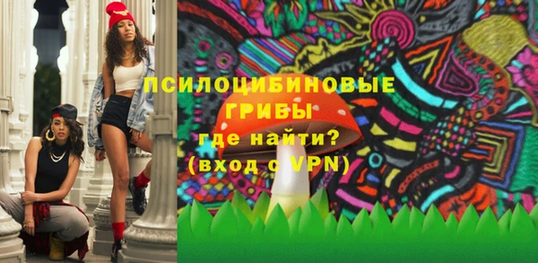 стаф Богородицк