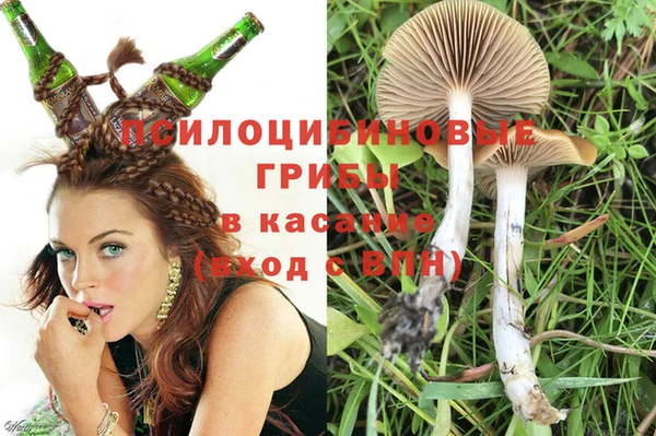 стаф Богородицк