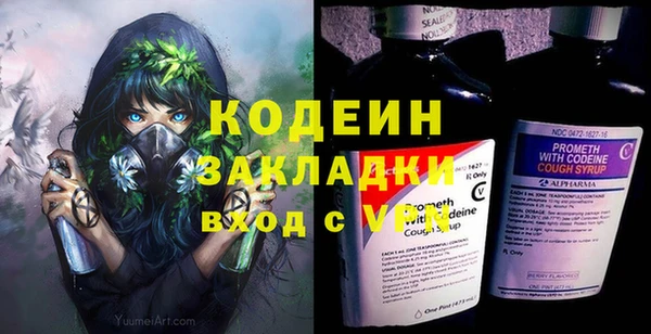 прущие грибы Богородск