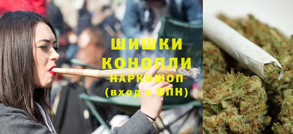 apvp Богданович