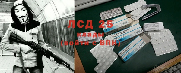 прущие грибы Богородск