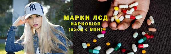 прущие грибы Богородск