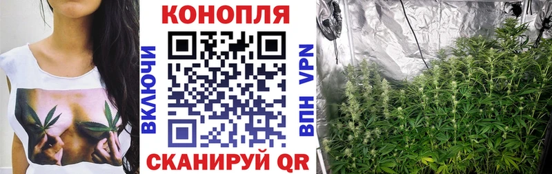 Бошки марихуана VHQ  мега вход  Ангарск 